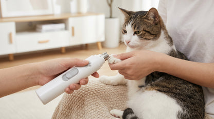 Lima Eléctrica de Uñas para Mascotas