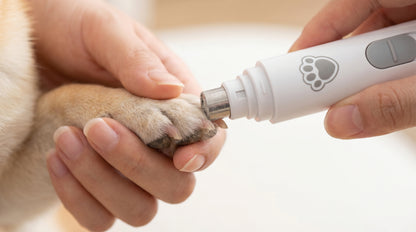 Lima Eléctrica de Uñas para Mascotas